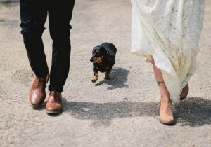 poppy-and-paul-with-their-dog-wedding-day