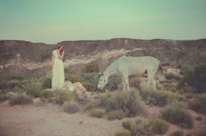 desert-bridal-editorial-bohemian-wedding-dress-the-catherine-backless-gown